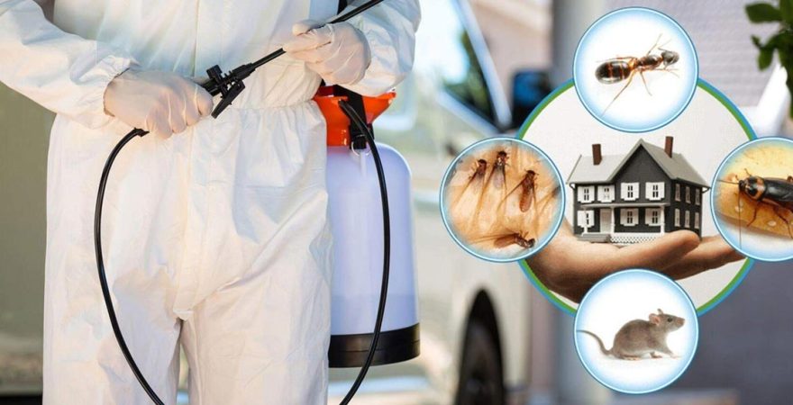 Ayaş Böcek İlaçlama