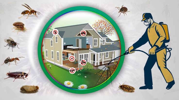 Ayaş Böcek İlaçlama