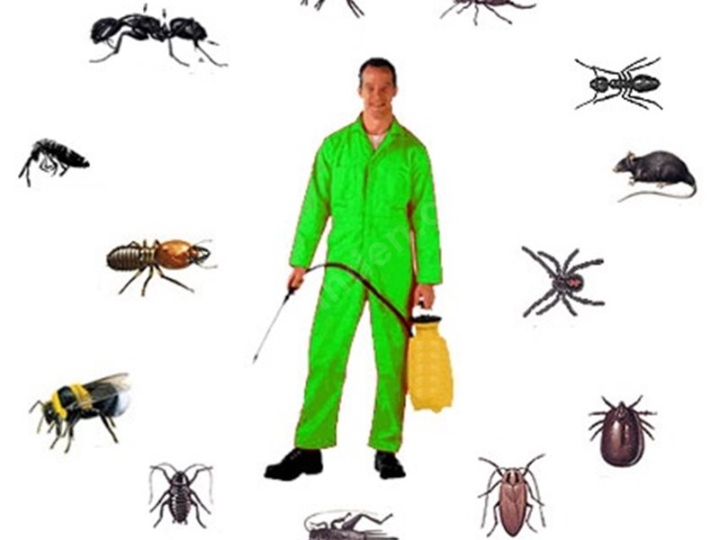 Ayaş Böcek İlaçlama